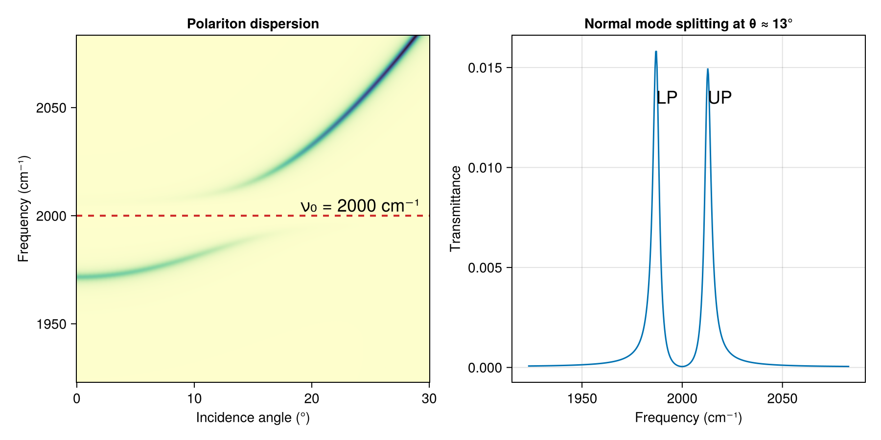 Vibrational polariton dispersion